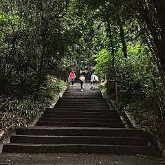 1f7295c143c261cfadd875ad19f7c416.jpg